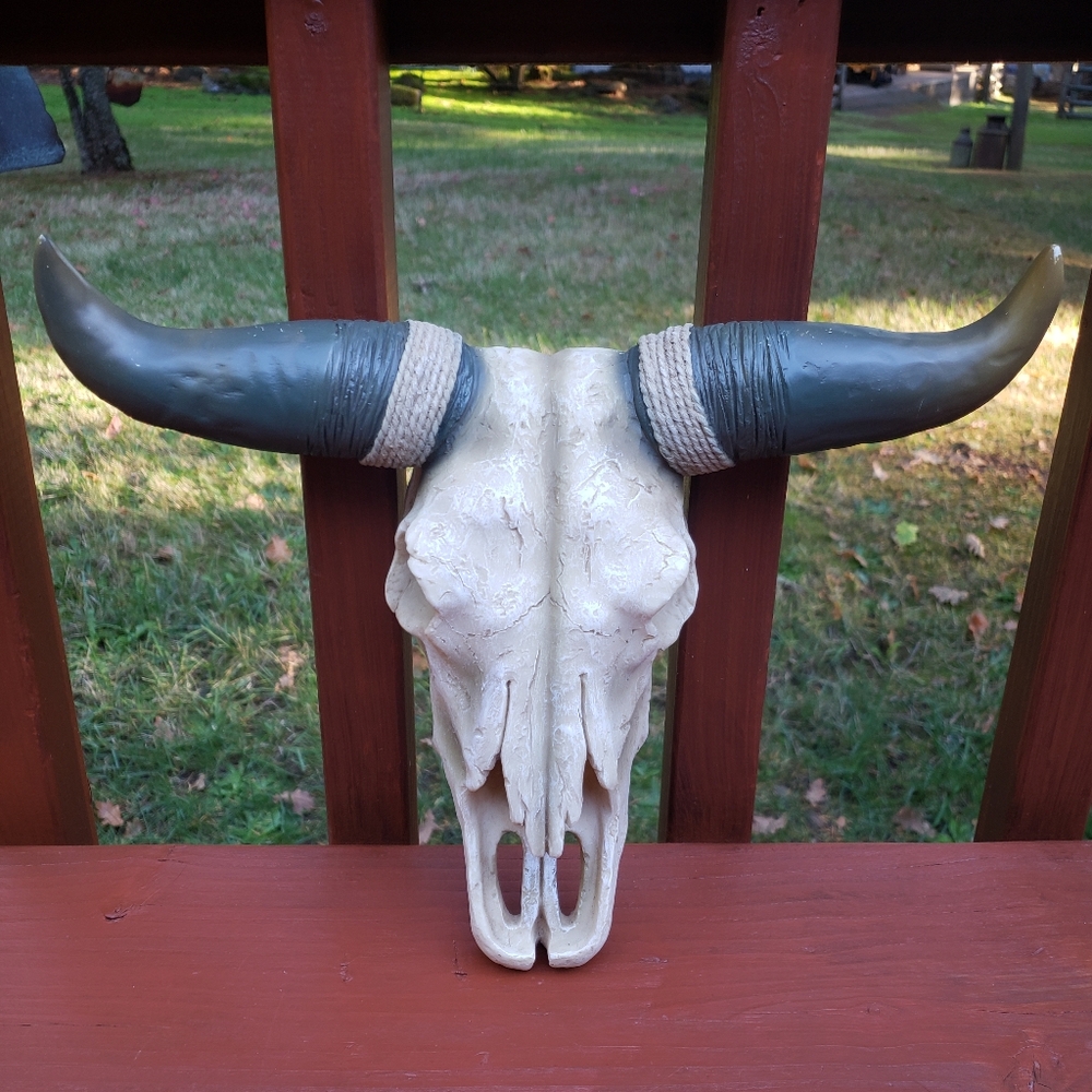 Hard Plastic Animal Skull - Hanging Country/Western Themed Wall Decor